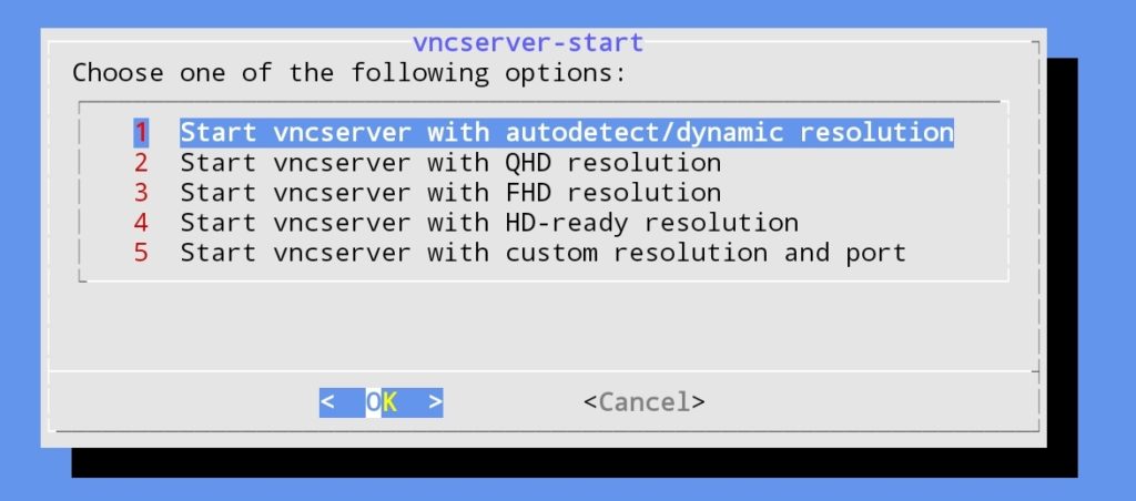 Andronix resolution selection before setting up a VNC server.